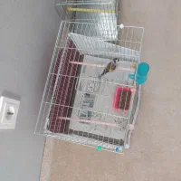 سهره  نر جوجه قفس وقفس غلامی