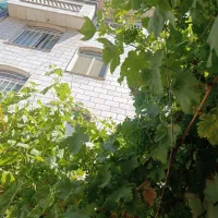 آپارتمان مبله مختص توریستهای خارجی