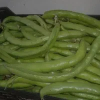 باقله|خوردنی و آشامیدنی|خرم‌آباد, |دیوار