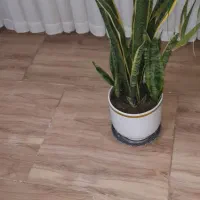 گل های سرحال