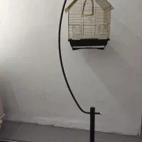 قفس