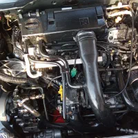 پژو ۴۰۵ مدل۱۳۸۸|خودرو سواری و وانت|گلستان (تهران), |دیوار