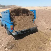 کود حیوانی