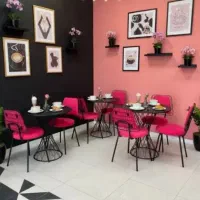 میزو صندلی غذاخوری خوری آنیکا۹۹H
