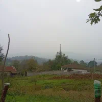 زمین کوهپایه‌ای با سند تک برگ