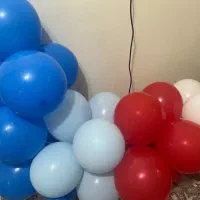 بادکنک آرایی سگ هایی نگهبان