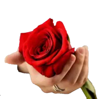 یک باب مغازه کوروش بلوار ذوالفقار