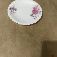 سرویس ارکوپال