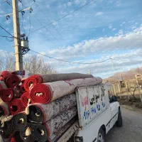 قالیشویی نمونه با۳۰سال سابقه(هداوند)