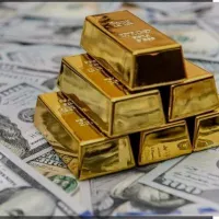 کار در منزل بندرعباس