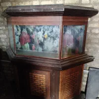 آکواریوم