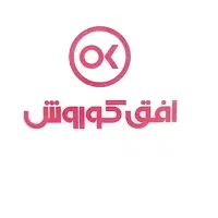 راننده نیسان ( پایه دو هوشمند دار)