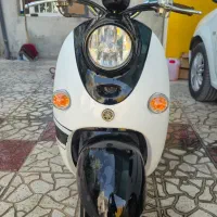 پاکشتی وینو|موتورسیکلت|جره و بالاده, |دیوار