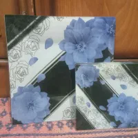 پیش دستی همراه دیس