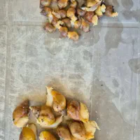 حلزون برای پوست