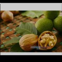 پوست کن گردو سبز