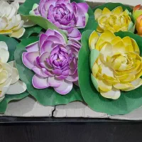 گل های زیبا مرداب ۶ رنگ جنس فومی ۱۲ عدد