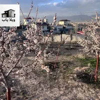 زمین-920متری-در-هاشمک-دماوند
