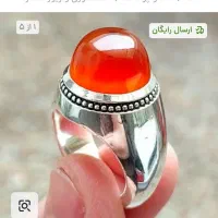 ساعت تمام اتوماتیک کوک|ساعت|شاهین دژ, |دیوار