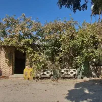 فروش کارگاه صنعتی|فروش دفتر صنعتی، کشاورزی، تجاری|رباط‌کریم, شهرک صنعتی پاسارگاد|دیوار