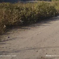 زمین مسکونی لطفی