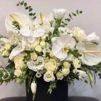 سبدباکس دسته گل تولدترحیم عروس خواستگاری هدیه تازه