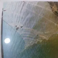 تور ماهیگیری