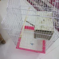 قفس سالم وبزرگ