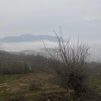 زمین-کشاورزی