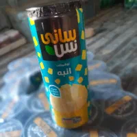 رانی سانی نس