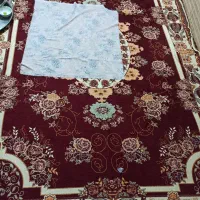 روفرشی درحدنو