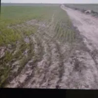 فروش-زمین-جاده-باغرود