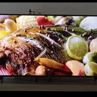 ،Led 50 Gplus مشابه نو با کارتن|تلویزیون و پروژکتور|تهران, مروارید شهر|دیوار