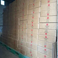 مغز آفتابگردان چینی وکیوم