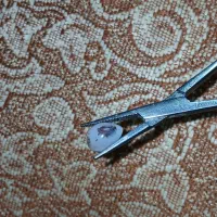 انگشتر شجر|جواهرات|لنجان, |دیوار