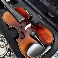 ویولن حرفه ای