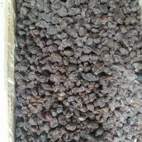 کشمش|خوردنی و آشامیدنی|زرقان, |دیوار