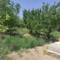 باغ در جاده بناب روبروی سی ان جی به سمت نقی زاده