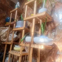 استندگل بزرگ وجادار