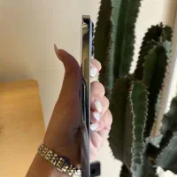 iPhone 13 Promax|موبایل|قم, سالاریه|دیوار