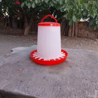 معاوضه با مرغ و خروس و غاز و قوغاز|لوازم جانبی حیوانات|زنجان, |دیوار