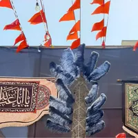پر علامت علم