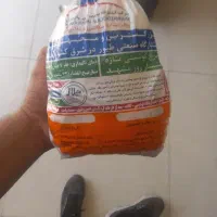 مرغ فله