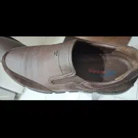 کفش SIAk|کیف، کفش، کمربند|تهران, سنائی|دیوار