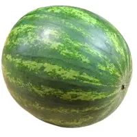 هندوانه شکن
