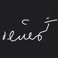 شناسنامه گم شده