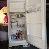 دو یخچال|یخچال و فریزر|بیستون, |دیوار