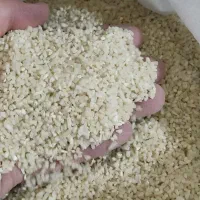 نیم عنبربو با عطر و کیفیت فوق العاده بالا