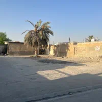 زمین با سند تک برگ