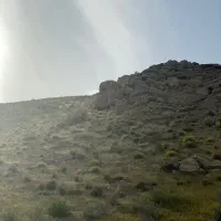 کارگر  واسه باغ